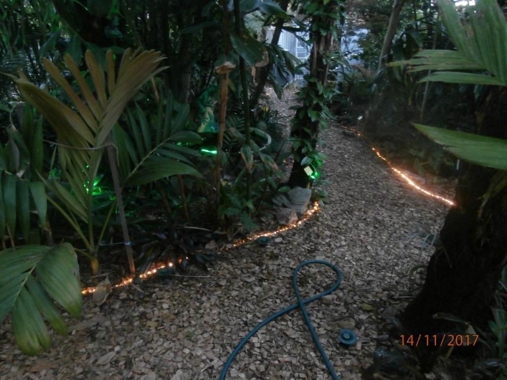 PB140003.thumb.JPG.30cc8f28dbefddbab4341