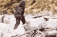 0D82BCDD-0E32-4928-B016-50945F5FFAFD.gif