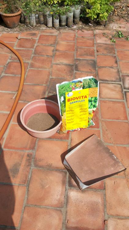 20171209_110737.thumb.jpg.81b2ca5a84bc23