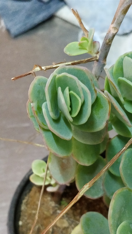 What's this one called?