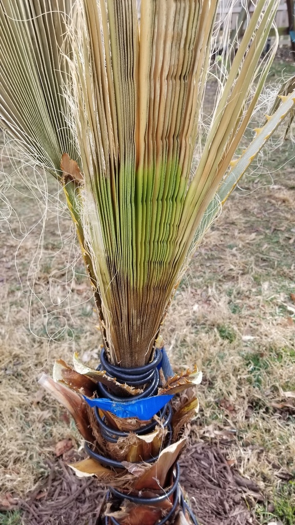 20180109_125717.jpg