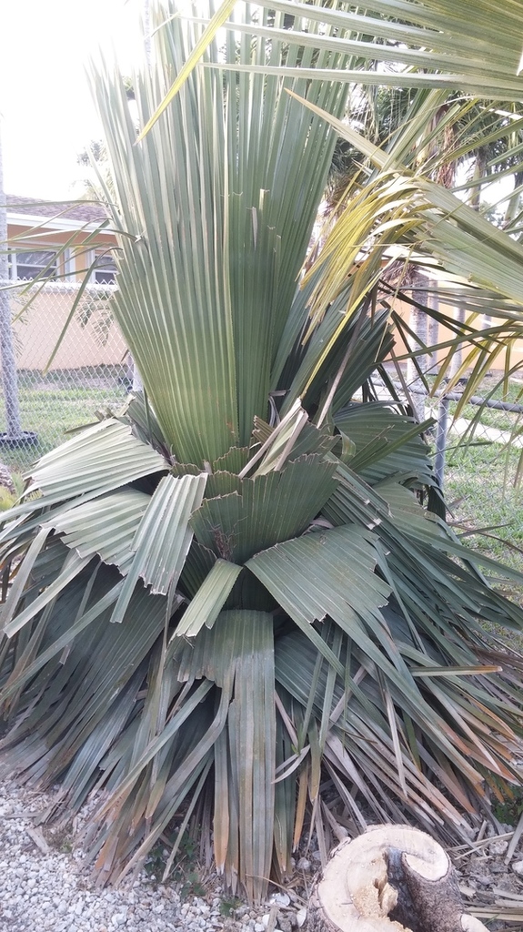 20180118_164519.jpg