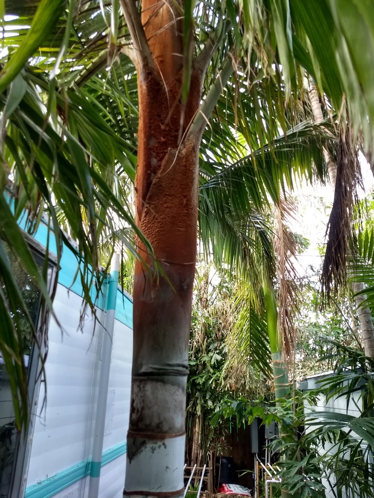 IMG_20180112_075451732_HDR[1].jpg