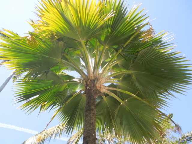 DSCN7845.jpeg.c81a387d34c701214eab525bf4