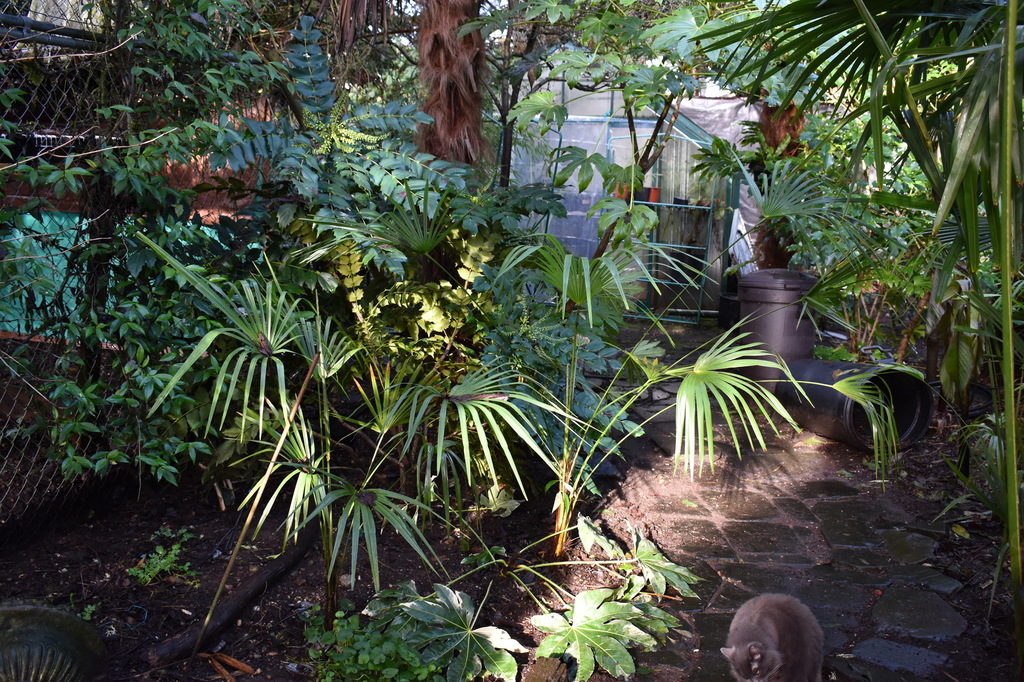 DSC_0019.JPG