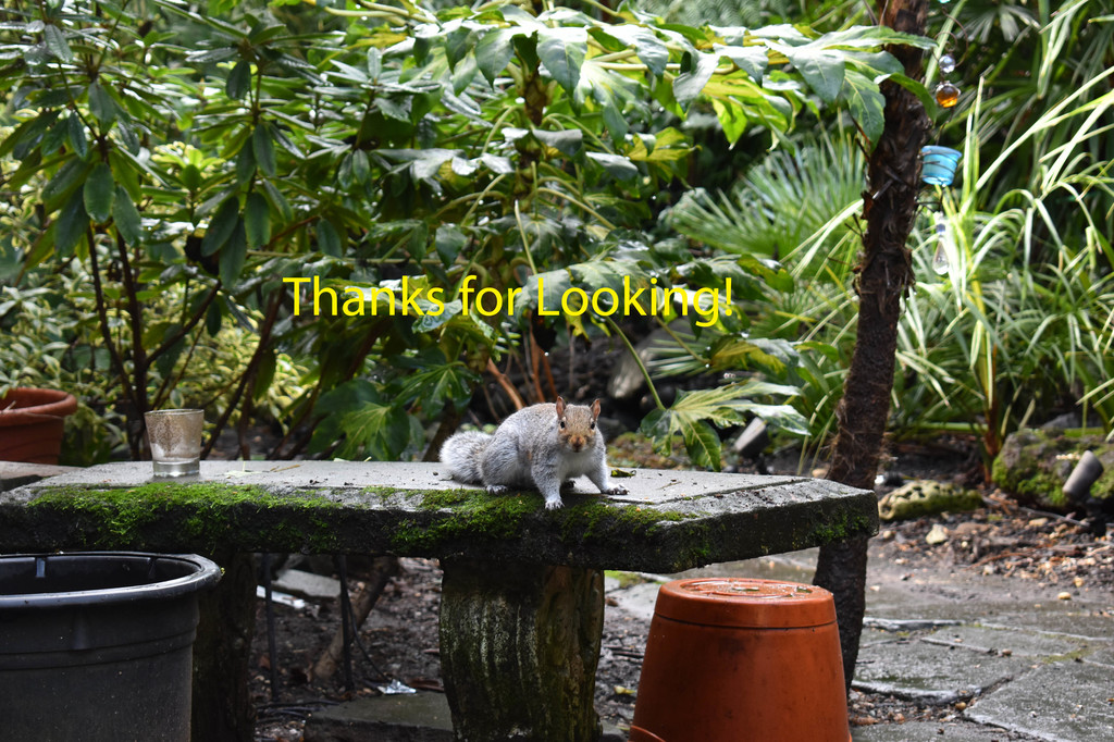 DSC_0059.jpg