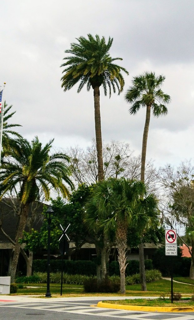 DSC_1874.JPG