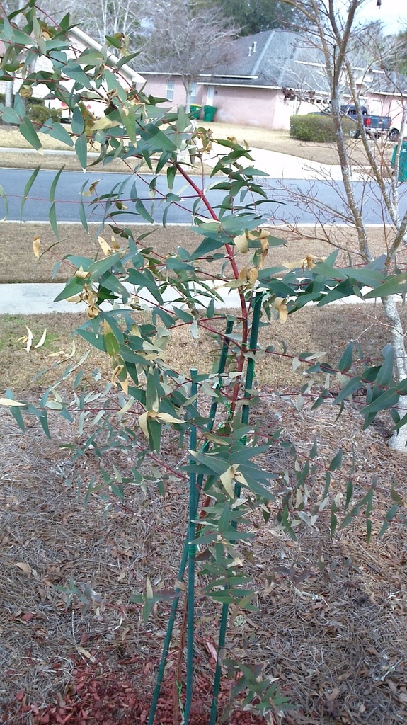 WIN_20180116_133154.thumb.JPG.eb356835a3