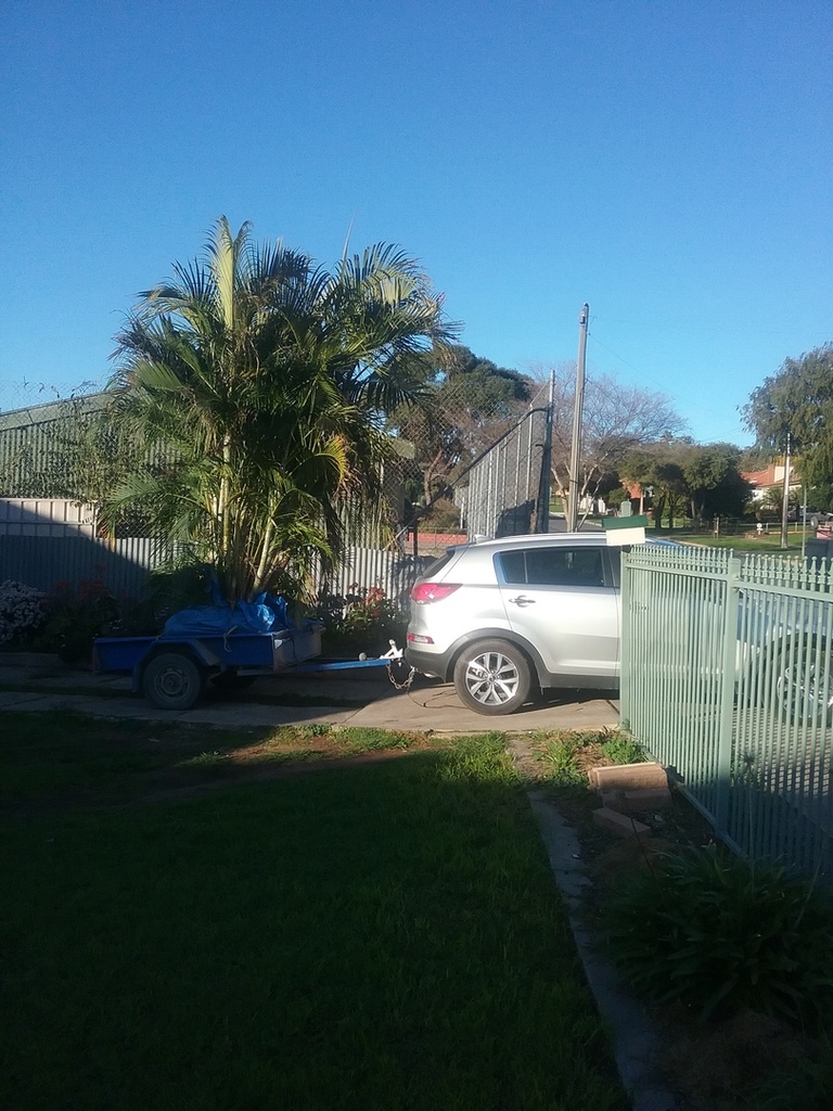 20160618_155434.jpg