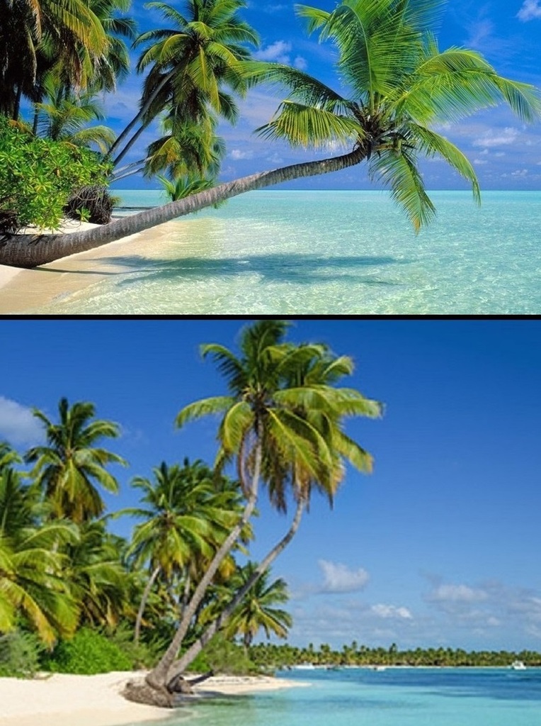 rr-000129-Dominikanische-Republik-shutterstock-medium - Kopya.jpg