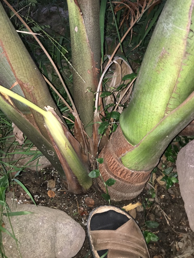 bang1.thumb.JPG.e8c7b8d4a09adefd8ef42052