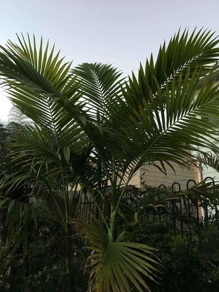 bang3.thumb.JPG.44330fb133f16655a2845bbc