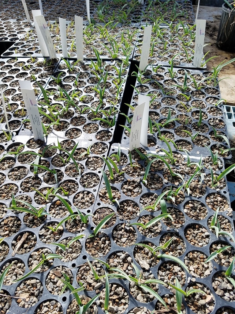 20180312_110806.jpg