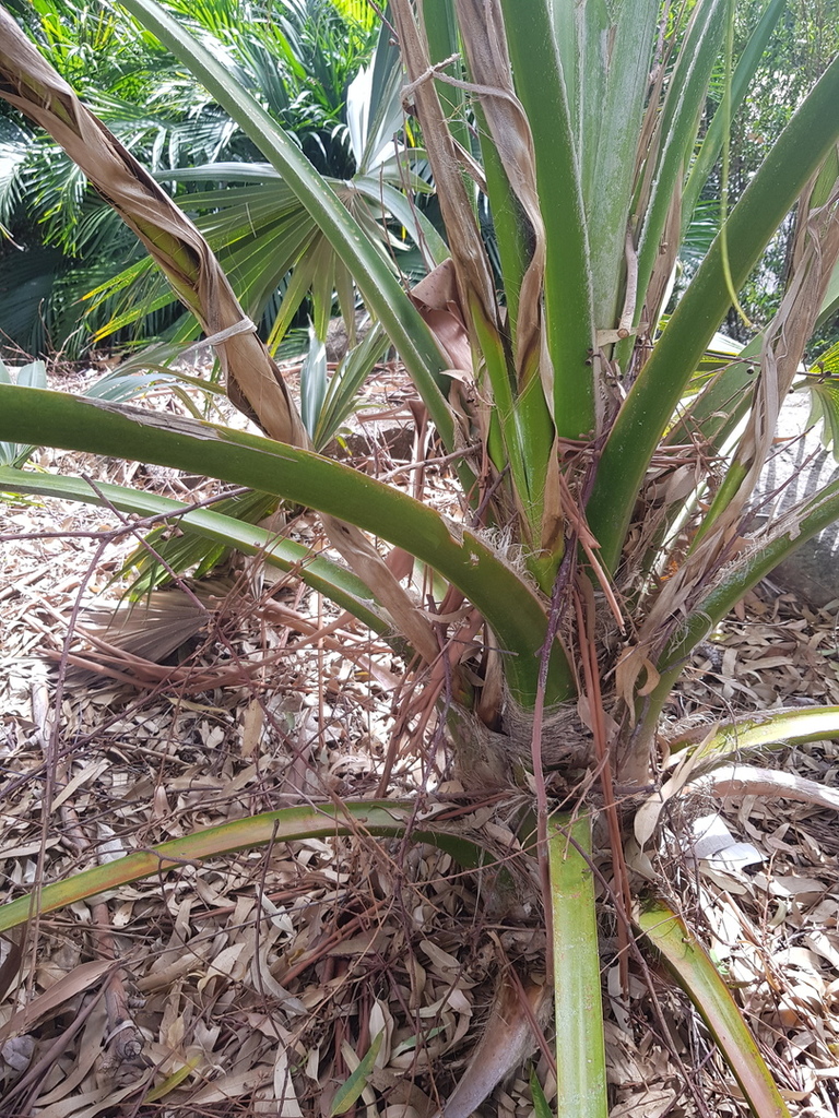 20180320_125827.jpg