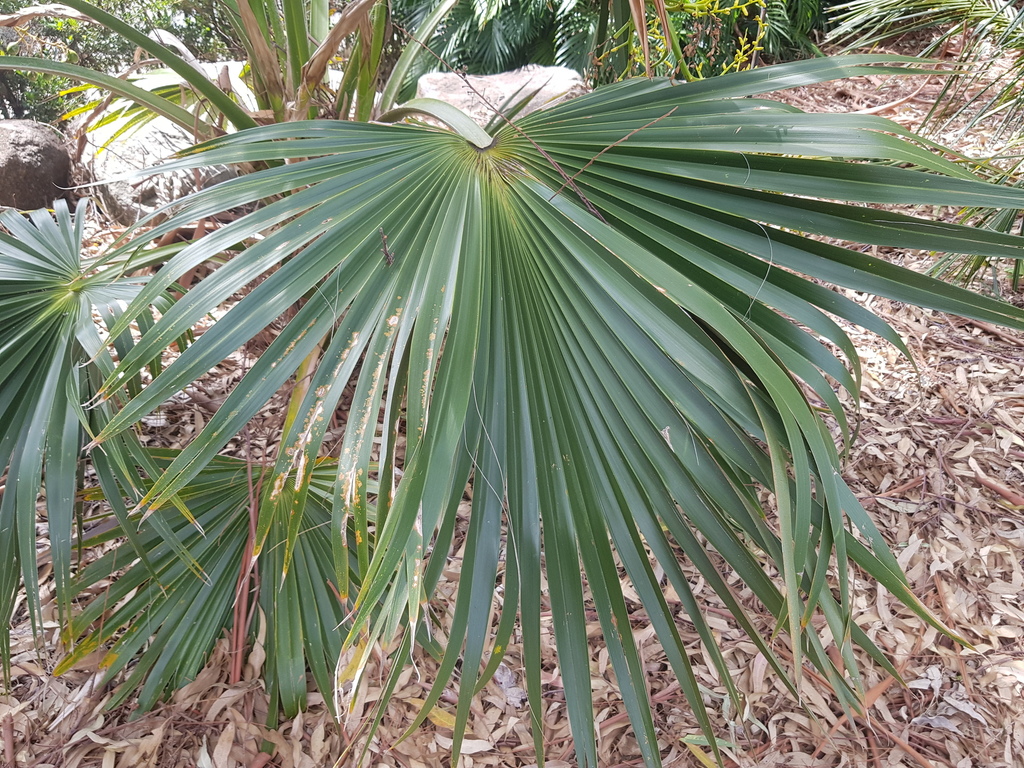 20180320_125855.jpg