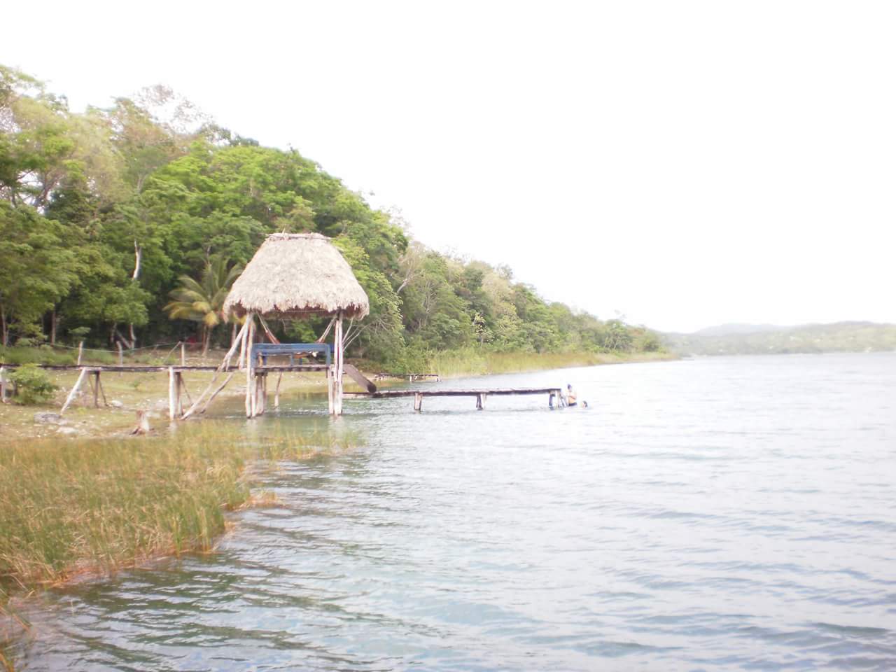 Palmy sites in Guatemala and/or Belize?