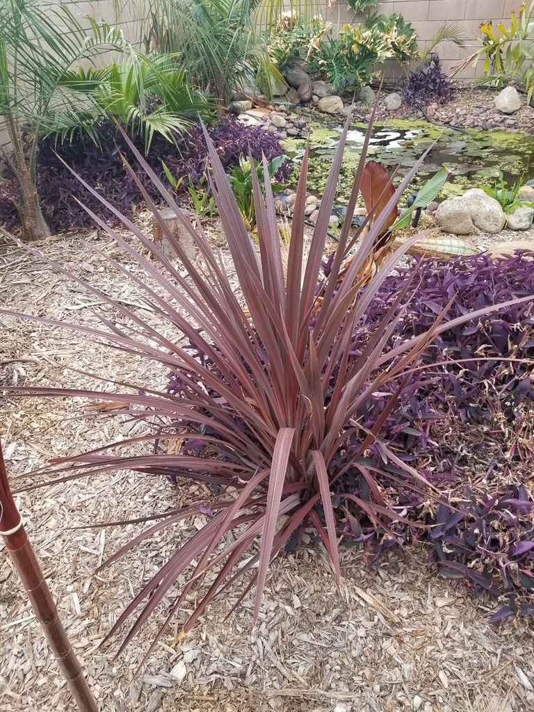 20180402_085643.jpg