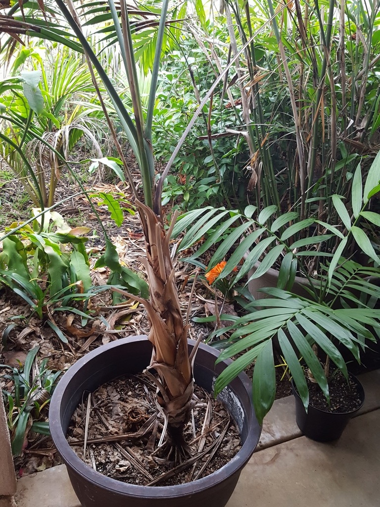 20180408_081541.jpg