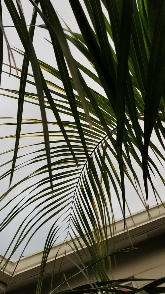 20180415_192925.jpg