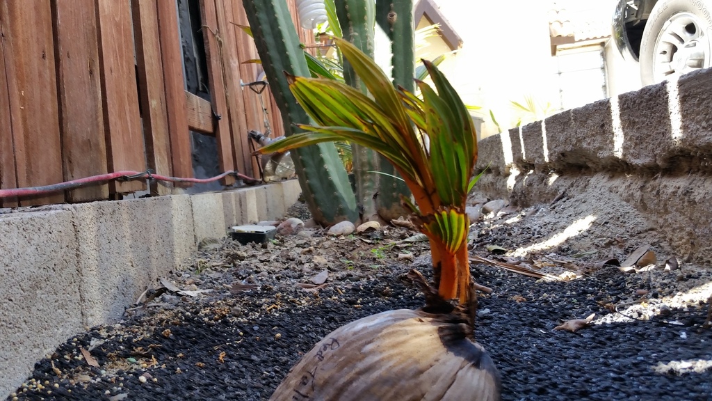 20180422_141310.jpg