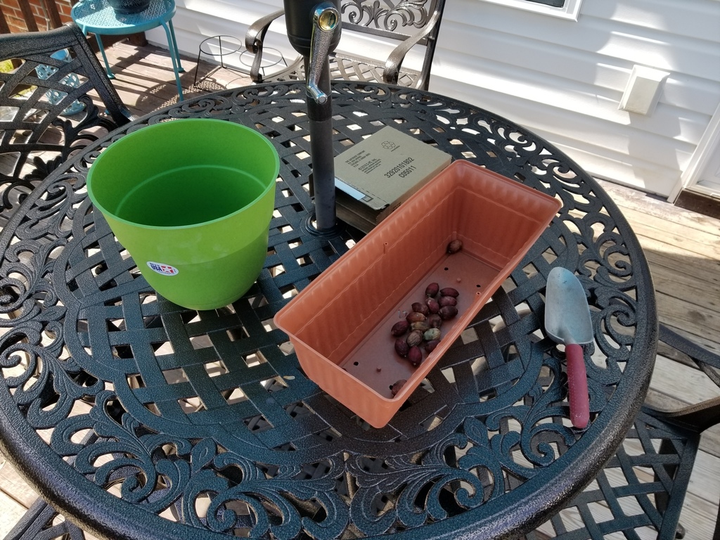 20180428_143251.jpg