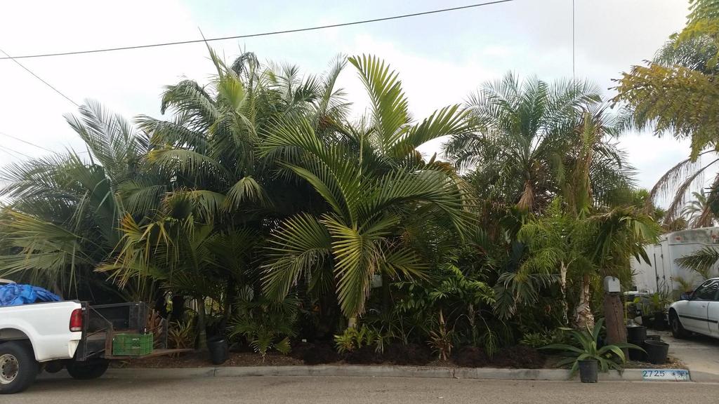 31130741_1721902521208713_565875984_o.th