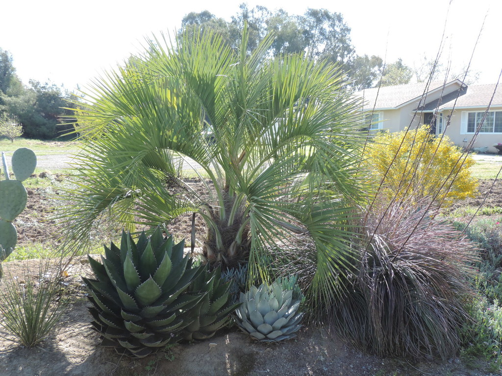DSCN3649.thumb.jpg.06fad51b610bd797ebb9a