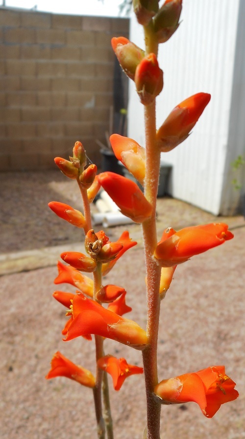 DSCN3764.JPG.f6aa2400c3547a6cfefff5e328c