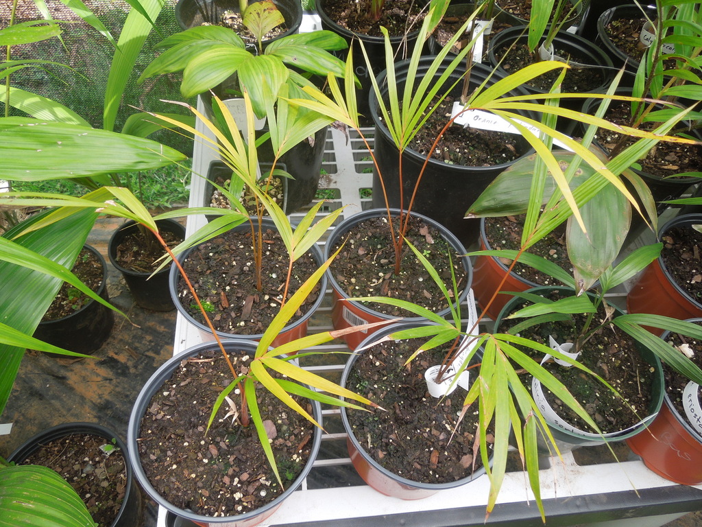 DSCN8084.JPG
