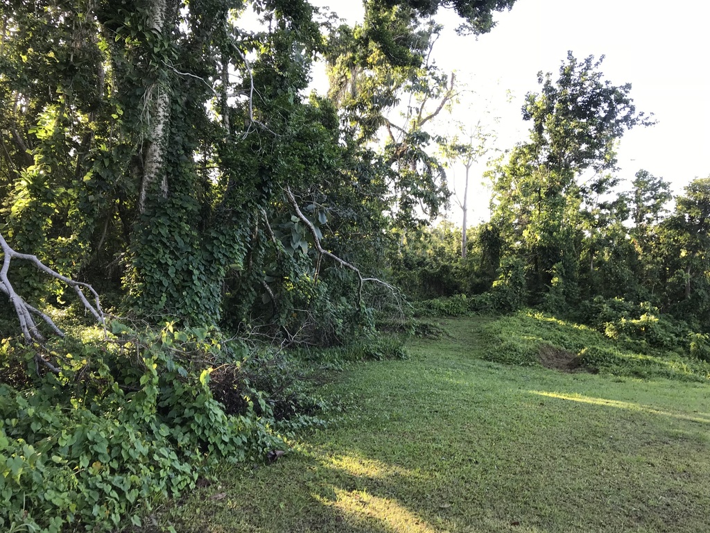 IMG_0771.thumb.JPG.33890485a5e604f083d77