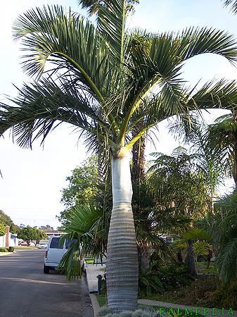 IMG_7395.JPG.fb68fff6810f14a858a4df61ec5
