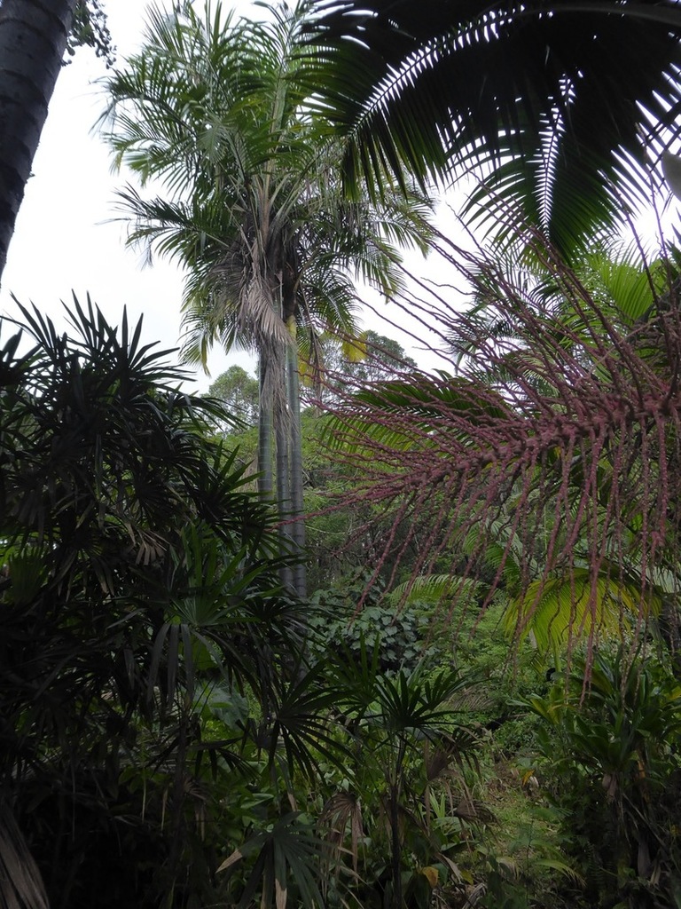 P1050044.jpg