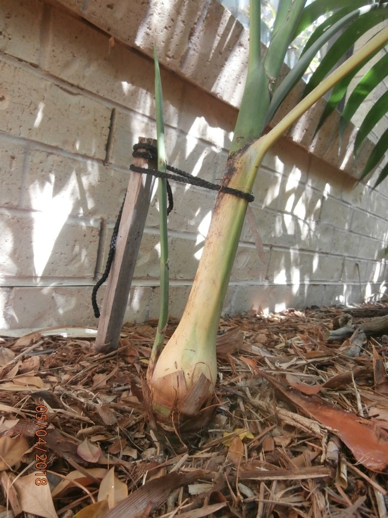 P4050057.thumb.JPG.da46ab6778e6277c96fa4