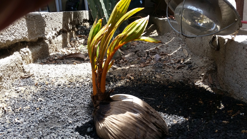 20180508_125046.jpg