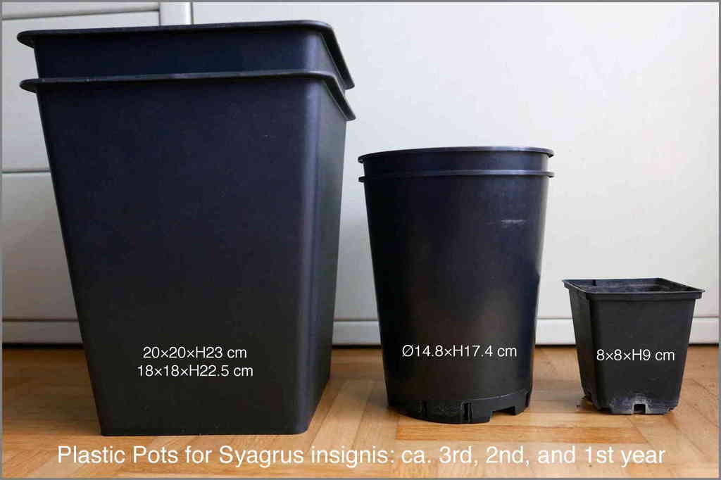 5ae8856399c3a_PlasticPots3xP1020873.thum