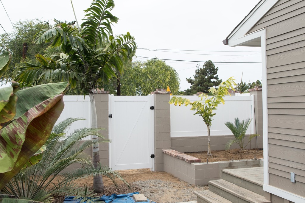 20150706-LI9A1192 Caryota and Cycas thouarsiii x cupida.jpg