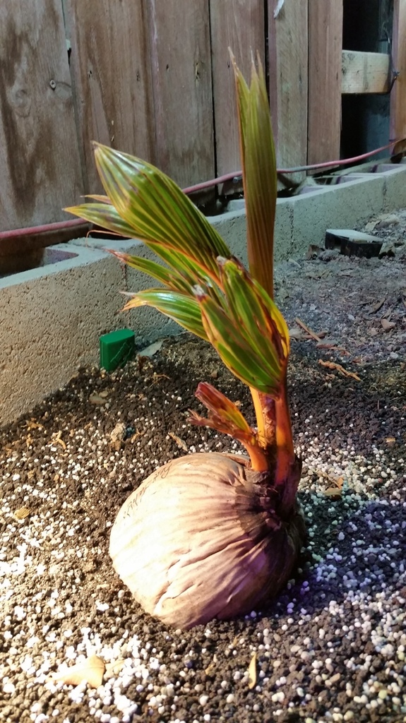 20180602_014736.jpg