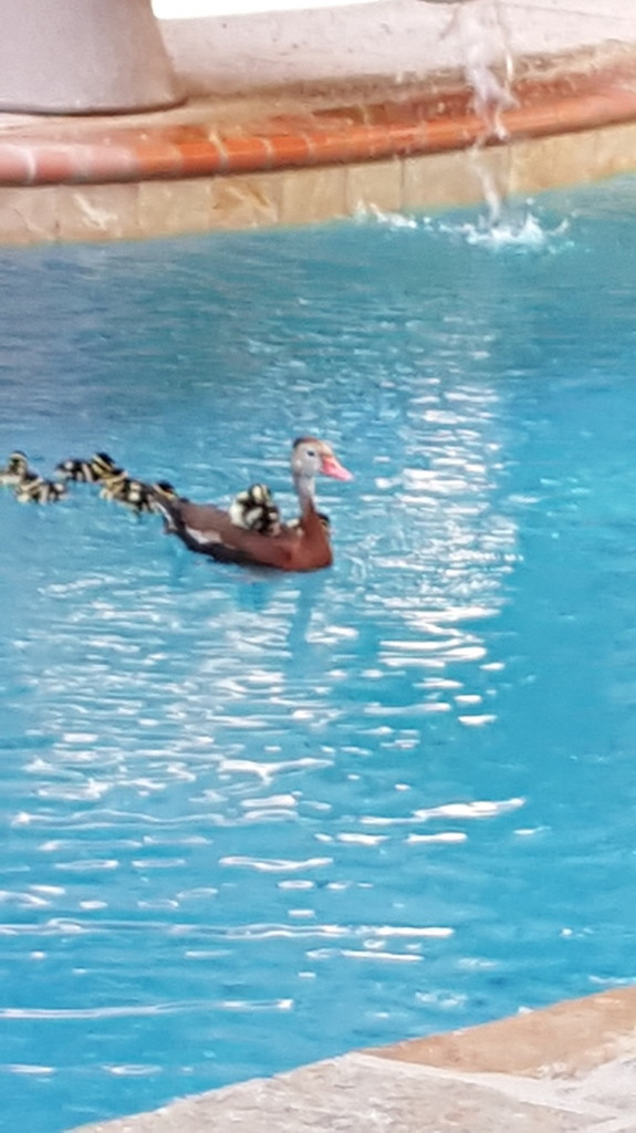 20180603_180138.jpg