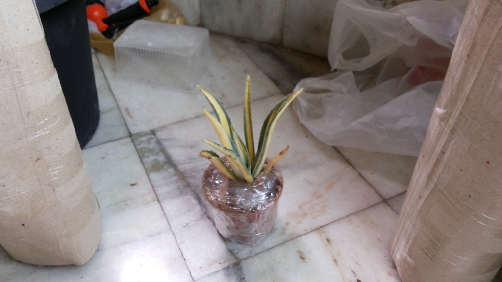 20180607_125440.thumb.jpg.38d2844f9a81d9