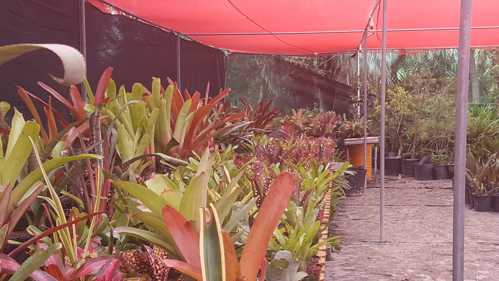 20180622_105826.jpg