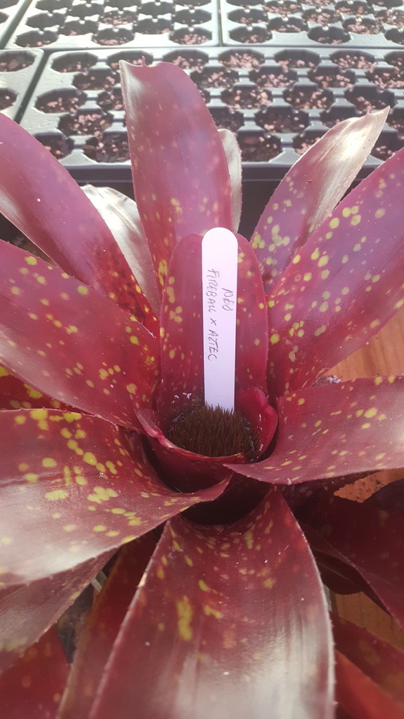 20180624_080251.jpg