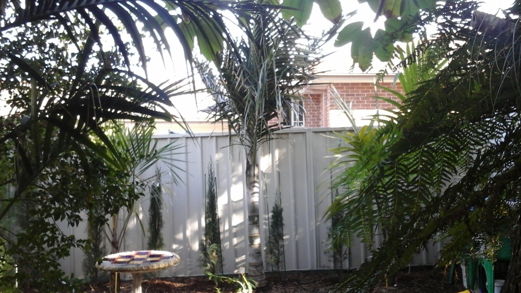 20180629_112446.thumb.jpg.d16d1e229e42ba