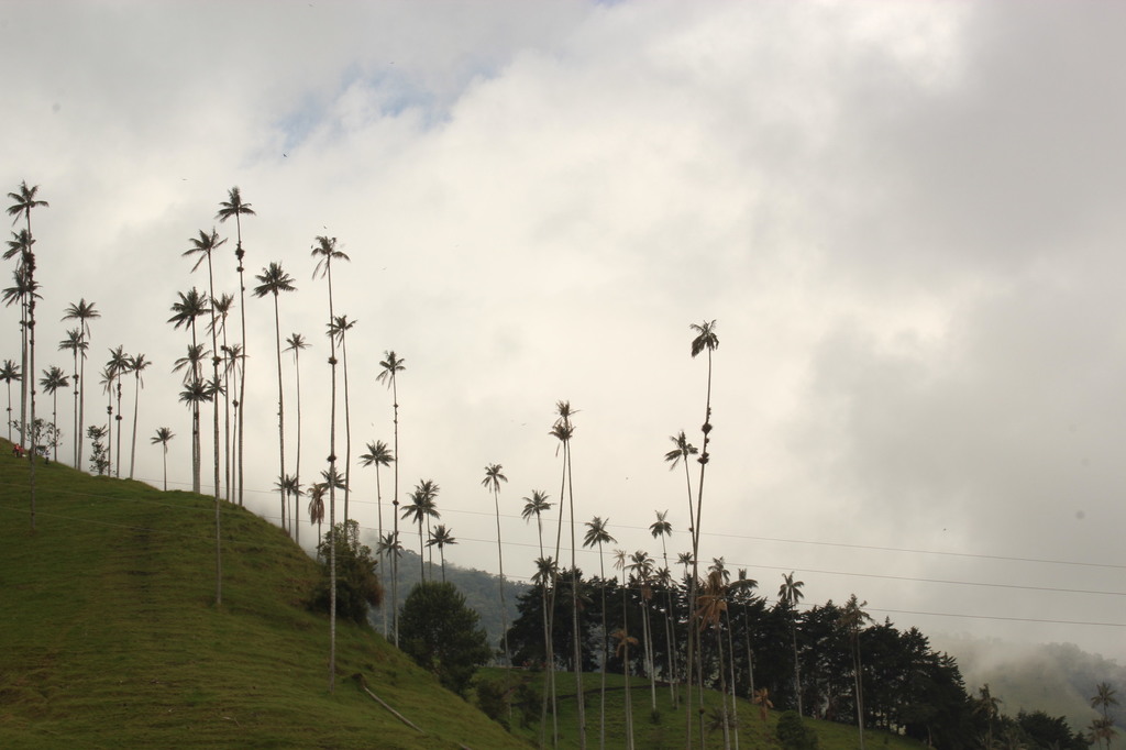 5b1c25a7c27ae_Colmbia501.thumb.JPG.2832c