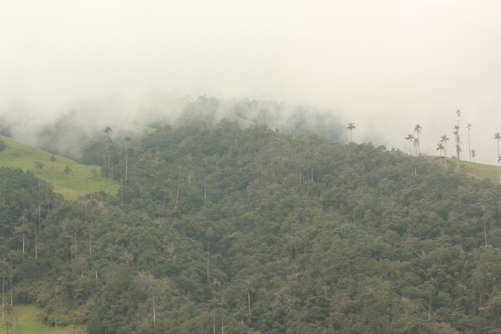 5b1c27efdfcf8_Colmbia511.thumb.JPG.5b67b