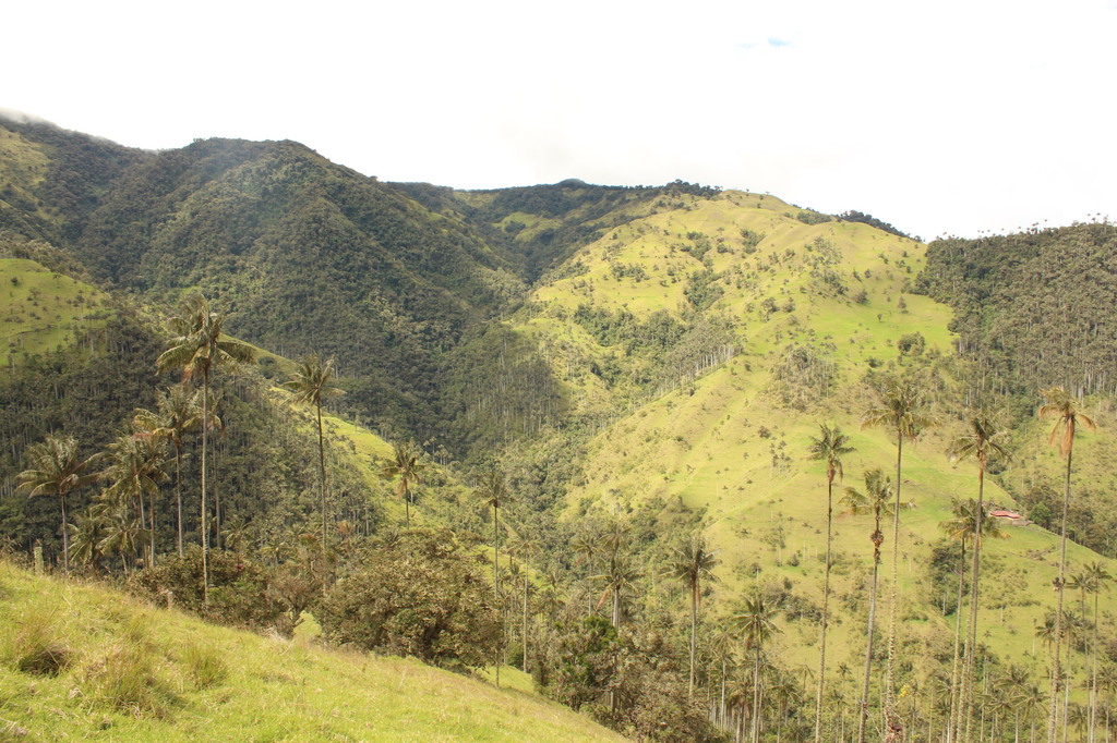 5b1d0e51da26b_Colmbia356.thumb.JPG.85ca0