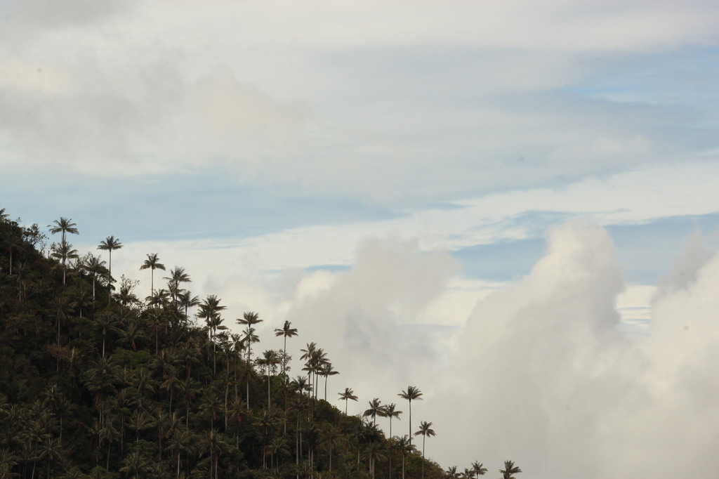 5b1d0f80e21b1_Colmbia361.thumb.JPG.59e9a