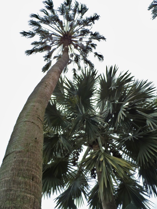 SAM_3619.JPG.bb7724f2e109ddcaa048e5c3dbe