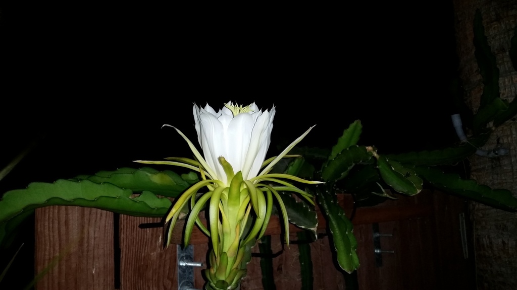 20180713_210933.jpg