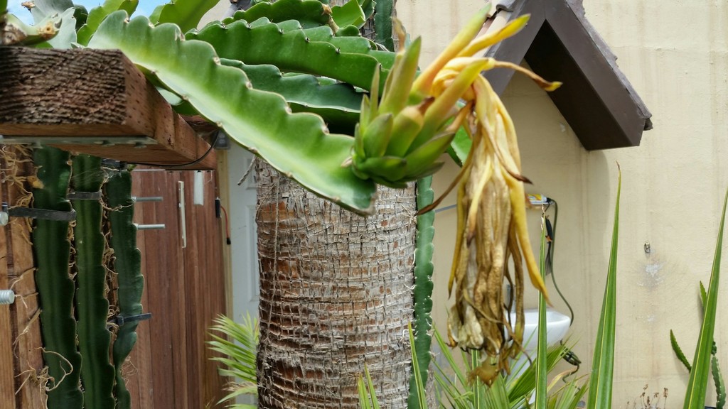 20180717_120714-3984x2241.jpg