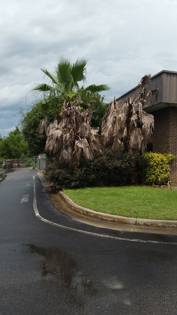 20180729_114354.jpg